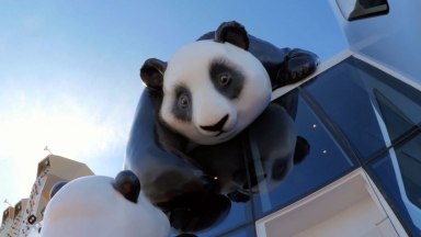Panda Pandemonium on Ovation of the Seas: Royal Caribbean's Newest Crew Members Make Their Debut